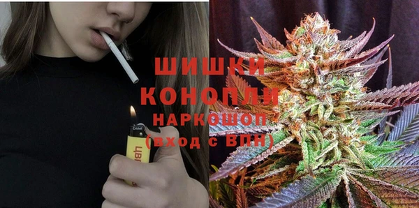 метадон Заводоуковск