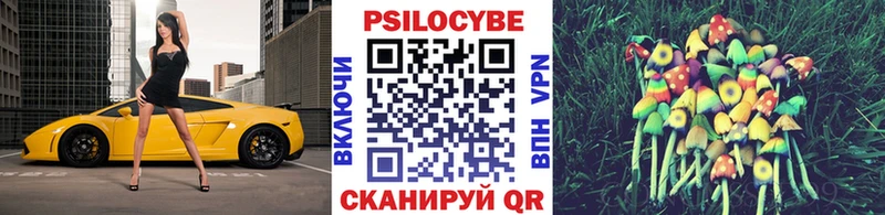 Купить где  Называевск  Галлюциногенные грибы Cubensis 